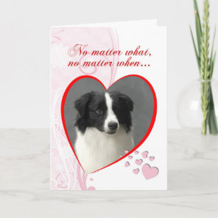 Border Collie Valentine Holiday Card