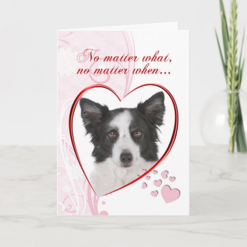 Border Collie Valentine Holiday Card