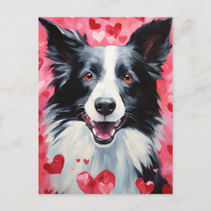 Border Collie Valentines day Postcard