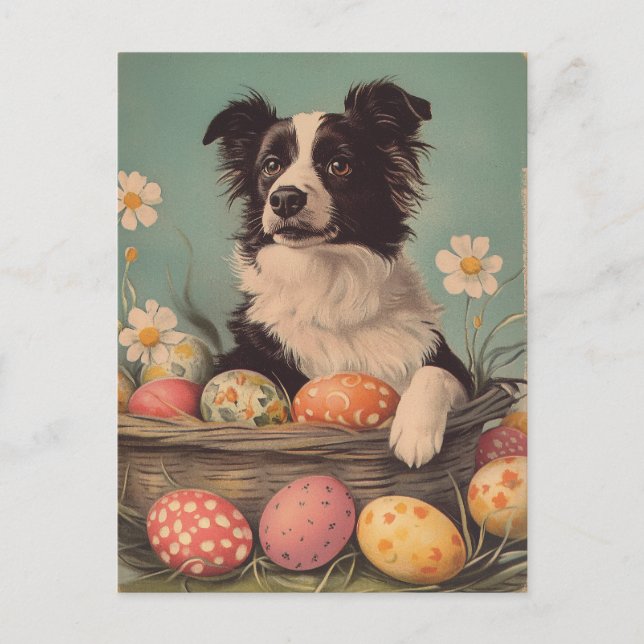 Border Collie Vintage Easter Postcard (Front)
