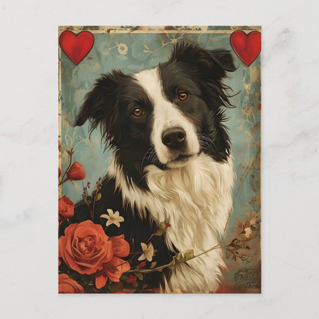 Border Collie Vintage Valentine's day  Postcard (Front)