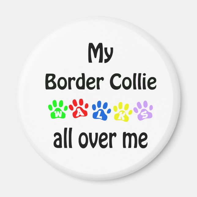 Border Collie Walks Design Magnet (Front)