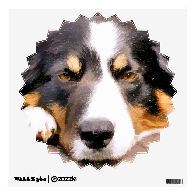 BORDER COLLIE WALL DECAL (Front)