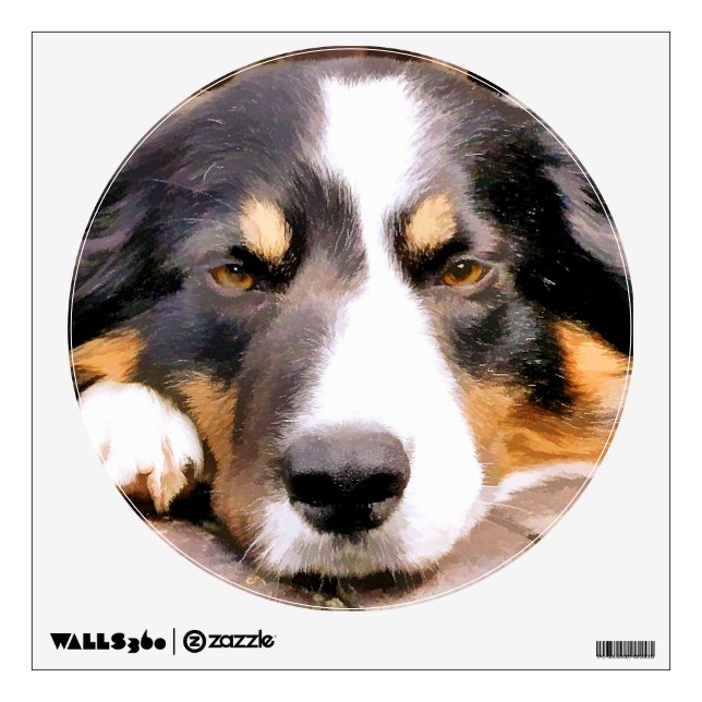BORDER COLLIE WALL STICKER (Front)