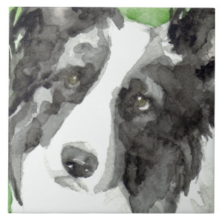 Border Collie Watercolor Tile