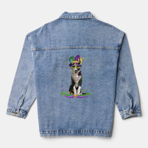 Border Collie Wearing Carnival Mask Mardi Gras Dog Denim Jacket