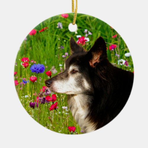 Border Collie with beautiful flowers Ceramic Ornament