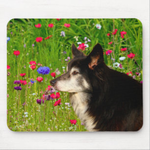 Border Collie with beautiful flowers Mouse Pad