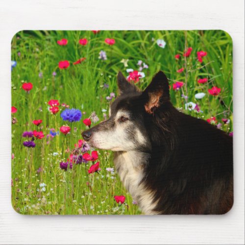 Border Collie with beautiful flowers Mouse Pad