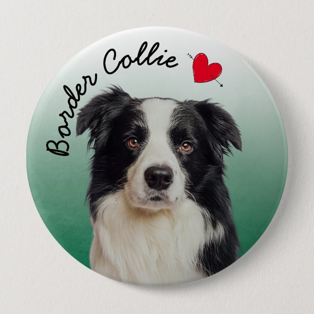 Border Collie with green gradient background Button (Front)