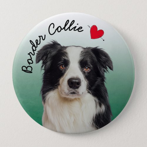Border Collie with green gradient background Button