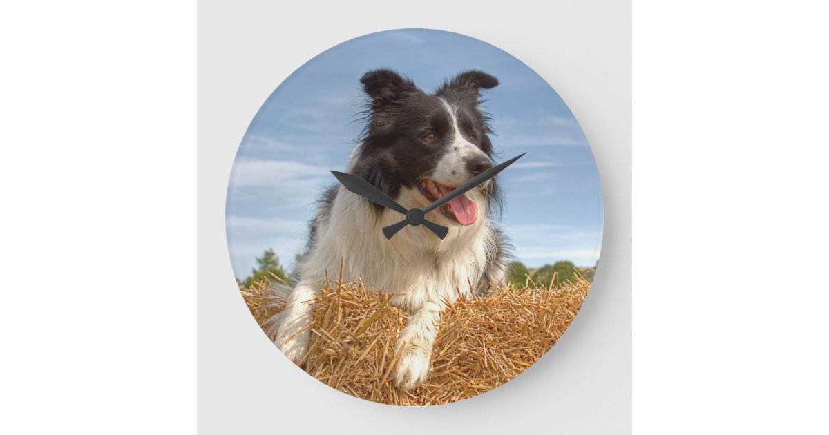 Border Collie Working Dog Large Clock | Zazzle