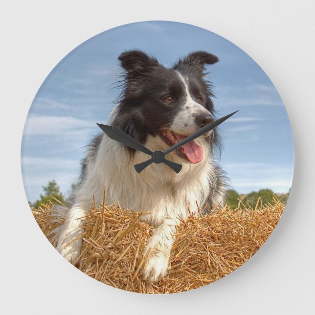 Border Collie Working Dog Large Clock (Front)
