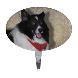 Border Collie "Wylie" Cake Topper