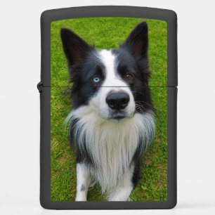 Border Collie Zippo Lighter