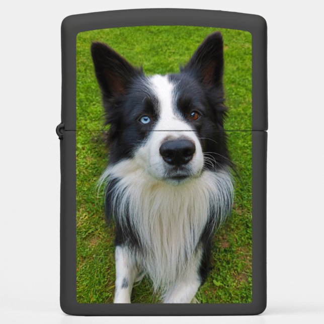 Border Collie Zippo Lighter (Front)
