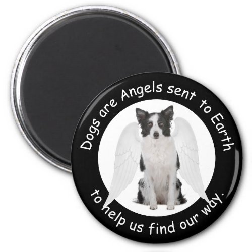 Border Collies Are Angels Magnet