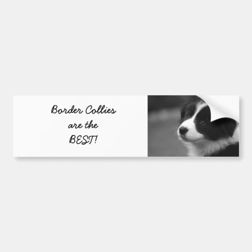 Border Collies are the BEST Bumper Sticker