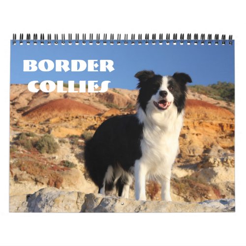Border Collies Calendar