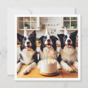 Border Collies, Dog birthday card, Dog Invitation