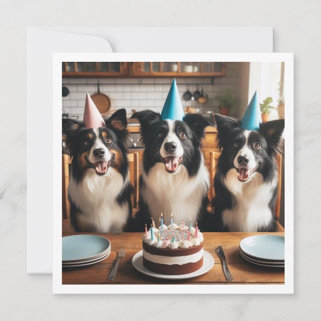 Border Collies, Dog birthday card, Dog  Invitation (Front)