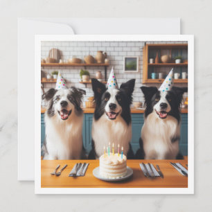 Border Collies, Dog birthday card, Dog Invitation