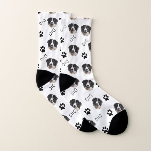 Border Collies dog Socks