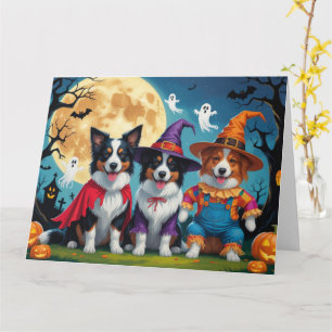 Border Collies Dogs Pumpkin Halloween Funny Card