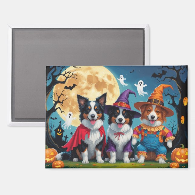 Border Collies Dogs Pumpkin Halloween Funny Magnet (Front/Back)