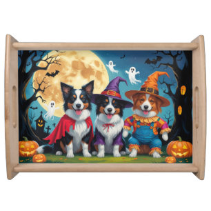 Border Collies Dogs Pumpkin Halloween Funny Serving Tray
