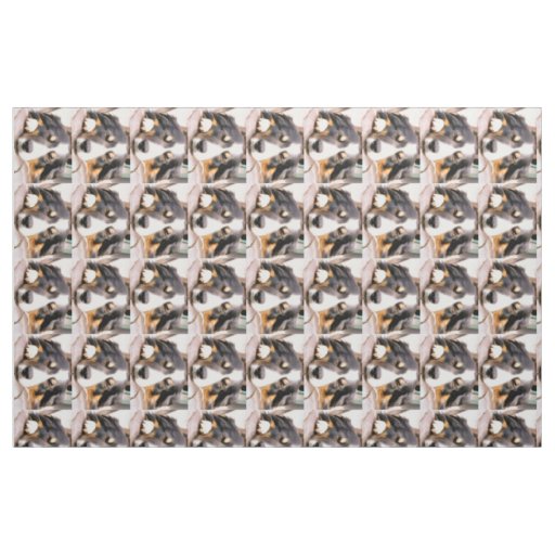 BORDER COLLIES FABRIC