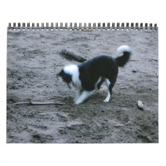 Border Collies Galore Calendar