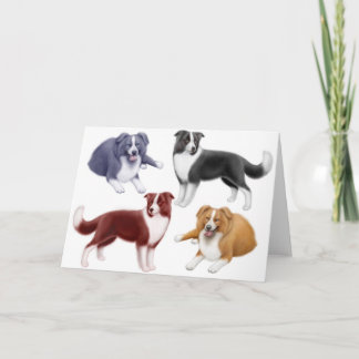 Border Collies Greeting Card