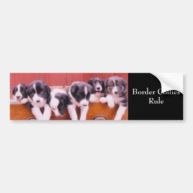 Border Collies Rule Cute Bumper Sticker (Front)