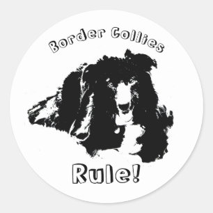 Border Collies Rule Cute Dog Classic Round Sticker