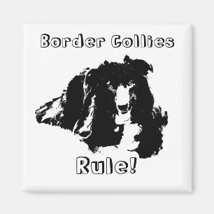 Border Collies Rule Funny Dog  Magnet
