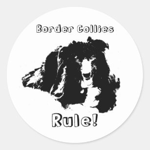 Border Collies Rule Funny Dog Sticker