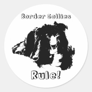 Border Collies Rule Funny Dog Sticker