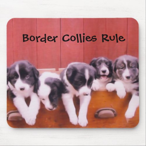 Border Collies Rule Mouse Pad