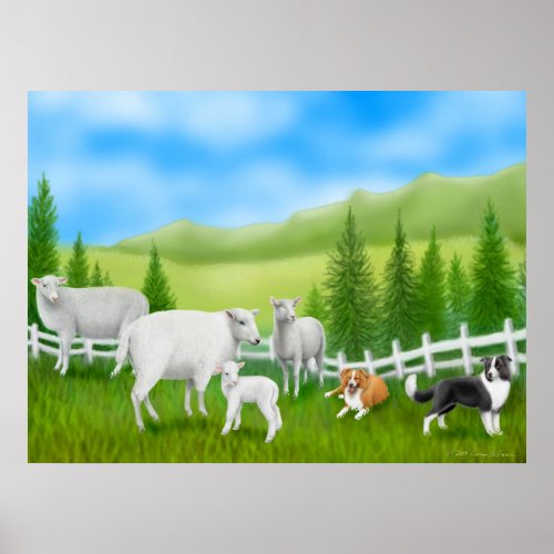 Border Collies  Sheep Flock Print