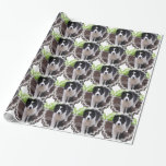 Border Collies Wrapping Paper