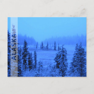Border for your Alaskan Vacation Photo Postcard