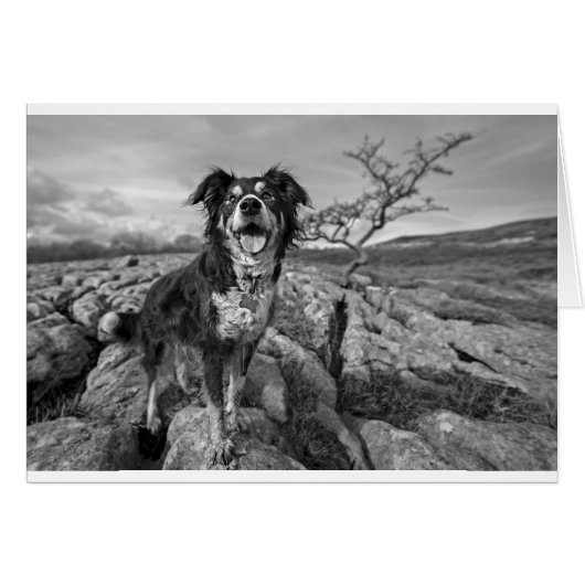 Border on lookout cards (Front Horizontal)