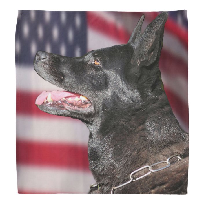 police dog bandana