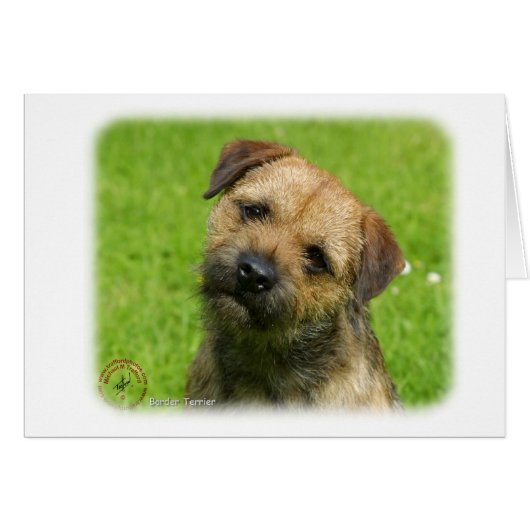 Border Terrier 9W009D-127 Cards (Front Horizontal)