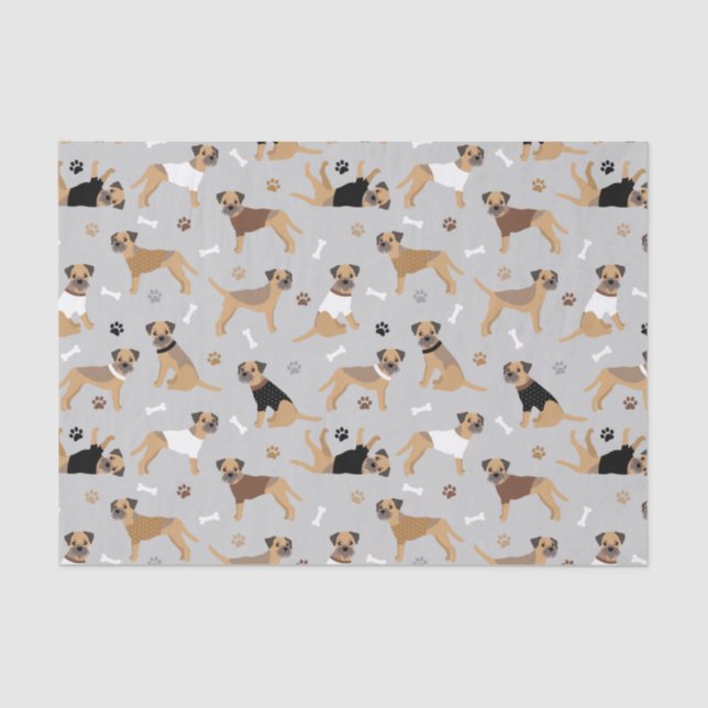 Border Terrier Bones and Paws Tissue Paper (Front)