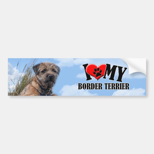 Border Terrier Bumper Sticker (Front)