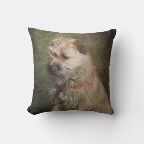 Border Terrier Cushion