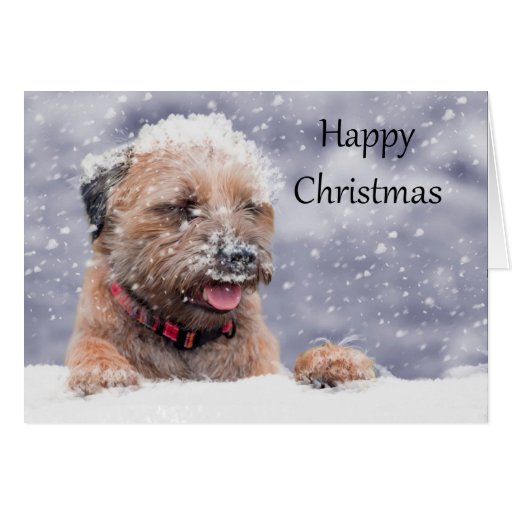 Best Of 90 Border Terrier Card