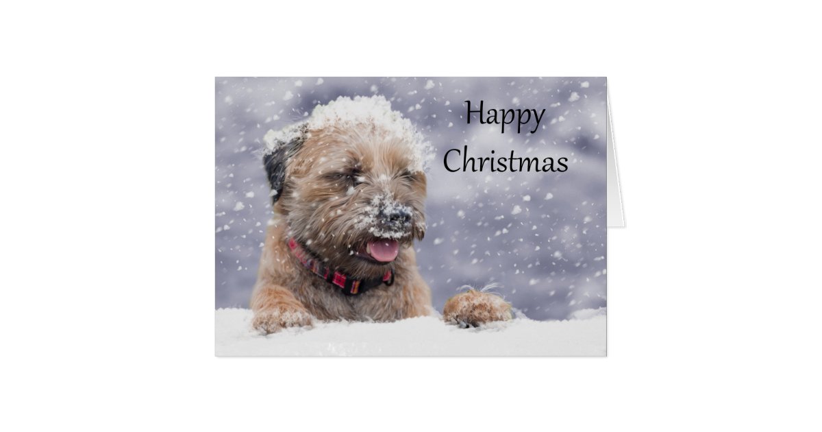 Best Of 90 Border Terrier Card